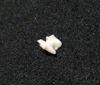 乳歯？.jpg